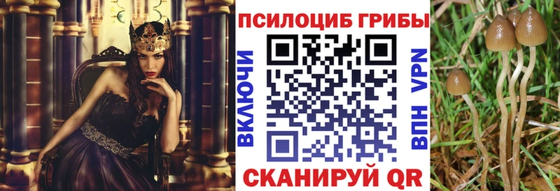 Псилоцибиновые грибы мухоморы Купить Ялта